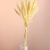 Set of dried flowers "Setaria", banch 7 pcs, length 60-65 (+/- 6 cm), bleached