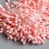 Stamens for flowers "droplets gloss sugar-pink" set 300 pcs length 6 cm