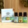 A set of essential oils of eucalyptus, mint, cedar, "Dobroparov", 3 pcs of 17 ml