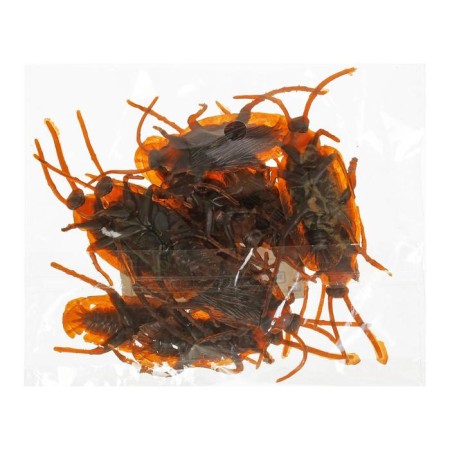 Fun "cockroach", set of 12 pcs.-1