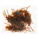 Fun "cockroach", set of 12 pcs.