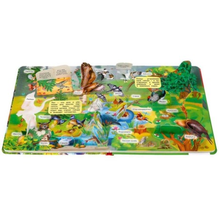100 secret windows. Forest animals-2