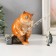Souvenir Polystone Lac "Red cat on fishing" 12.5x10x18 cm