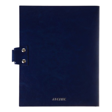 Universal diary for grade 1-11 Favorite, soft cover, button, artificial leather, foil embossing, refrain, lies, 48 ​​sheets-15