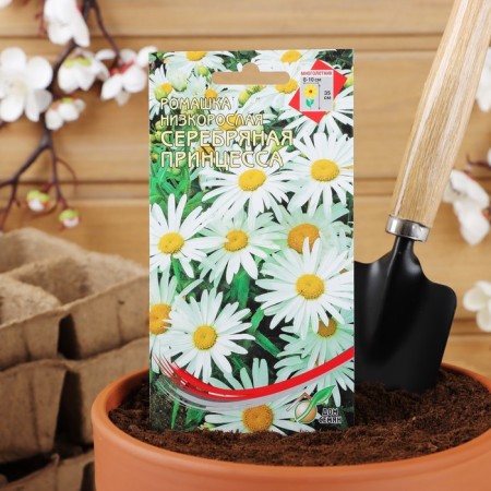 Seeds of flowers Chamomile "Silver Princess", 80 pcs.-4