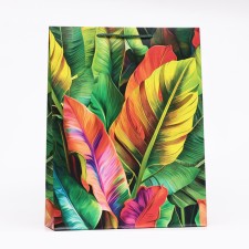 Gift packet 