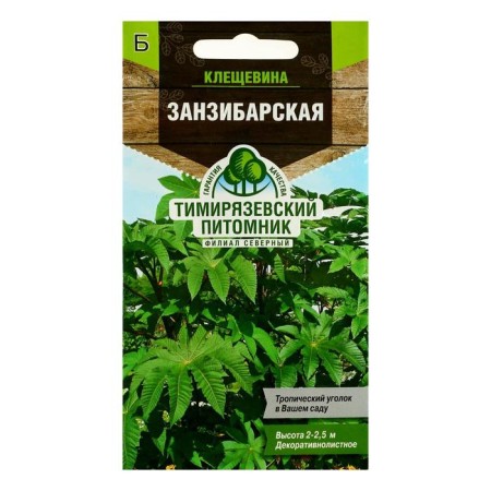 Flowers of Kleschevina "Zanzibarskaya", 5 pcs