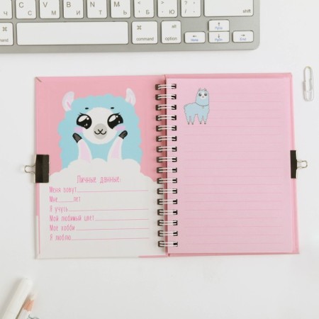 Notebook on the lock “Fluffy Secrets”, A6, 50 sheets.-2