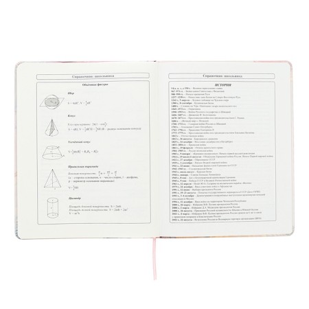 Universal diary for grades 1-11 Inspiration, hard cover, artificial leather, foil embossing, tinted block, 48 sheets-11