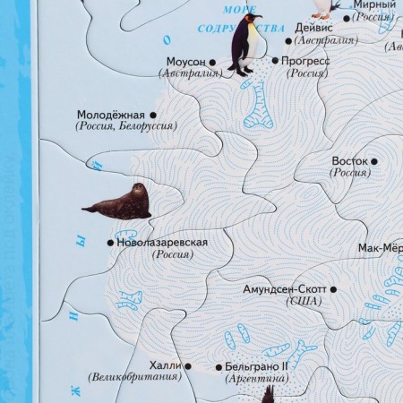 Developing puzzle "Antarctica"-2
