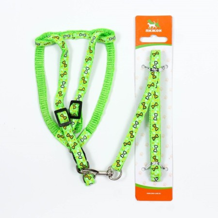 Set "Star Bones", leash 120 x 1 cm, fire 23-35 cm, green-6