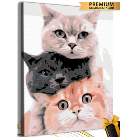 Picture on the numbers "Cats" canvas on the subframe 40 × 50 cm