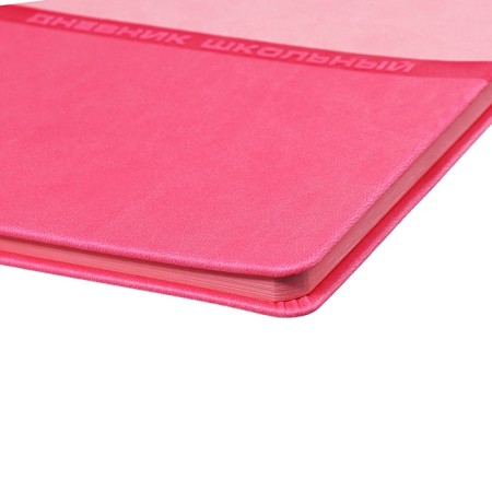 Universal Grade 1-11 Diary, 48 pink sheets, firm artificial leather cover, pancake embossing, liesse-4