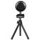 Camera Web A4Tech PK-710p Black 1MPIX (1280x720) USB2.0 with a microphone