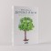 Yoga tree. Daily practice. Iyengar B.