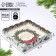Box Box with PVC lid "Bant", 15 x 15 x 3 cm, new year