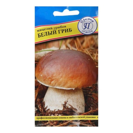 Mushroom mycelium white mushroom, 60 ml