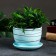 Flower pot "Magnolia" Blue, 0.5 l