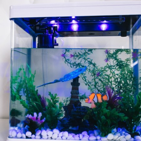 Decor for the Aquarium "Skat", silicone, with a neon effect, 18 x 8 cm