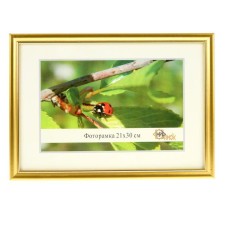Photo frame 1017-1056 A4 format (21x30 cm)