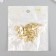 Castle metal for casket gold + nails. set 10 pcs 1.9x3 cm