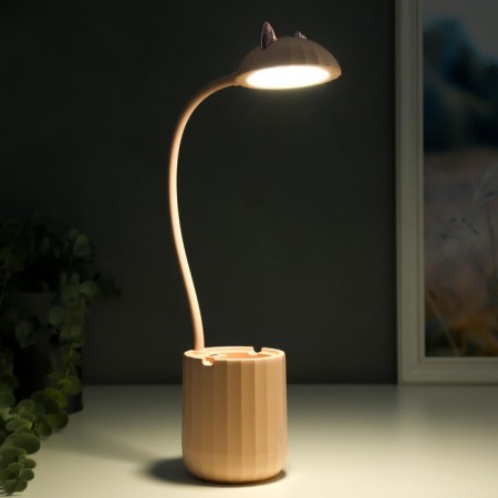 Table lamp with AKB 16216/1PK LED 4W 3000/6000K USB pink 8x8x44.5 cm Risalux-4