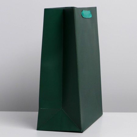 Gift laminated package, packaging, "Emerald", m 26 x 30 x 9 cm-1