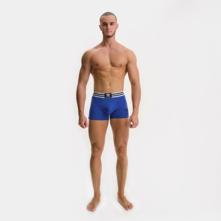 Panties men's boxers, color electrician, size 54-1