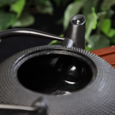 The kettle of the cast -iron shade "Eastern Night", 1.6 liters, with sieve, black color-2