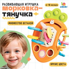 Developing toy 