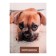 Notepad A6, 64 sheets in the cage "Best Friend", hard cover, offset unit