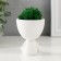 Kashpo concrete mini "Mr. Green Yog" with moss white 5.3x6x7 cm (moss green is stabilized.)