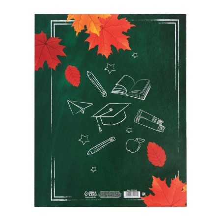 Portfolio in the folder with a “schoolboy” mount, 10 sheets-undergraduate, 21.5 x 30 cm-12