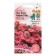 Flowers of Petunia "Iza Weive Coral Reef", F1, 5 pcs