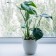 Flower pot, d = 19 cm, 3.5 l, plastic, beige