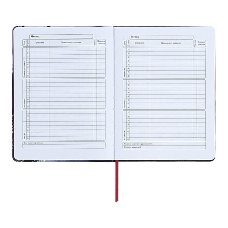 Diary 1-11 Grade "Magnolia", artificial leather, with lisasa, 48 sheets-7