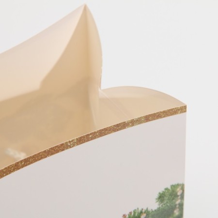 Package-Korok “Gift for You”, 23 x 18 x 11 cm, New Year-6