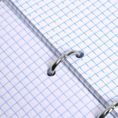 Notebook on rings, 160 sheets in the panda cage, solid cover, glossy lamination, with a change of block-7