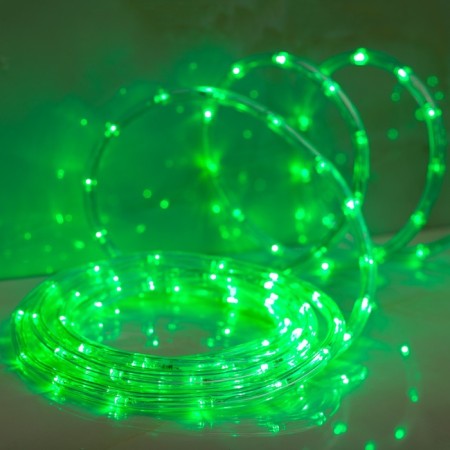 Luazon Lighting 10 mm light cord, IP65, 5 m, 24 LED/m, 220 V, 8 modes, Green glow-1