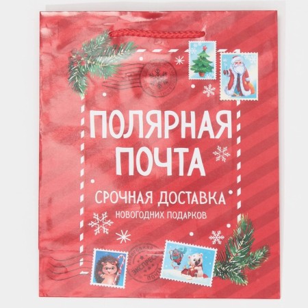 Laminated vertical "Polar Mail", ML 21 x 25 x 8 cm, New Year-6