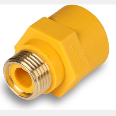 Dielectric coupling Aqualink, 3/4 ", for gas eyeliner, internal/external thread-7