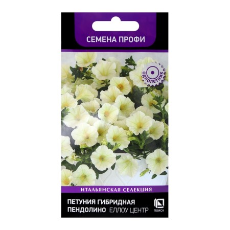 Flowers of Petunia Hybridino Pendolino Ello Center, 5pcs