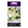 Flowers of Petunia Hybridino Pendolino Ello Center, 5pcs