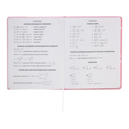 Universal diary for the 1-11 grade Forget Trubles, solid cover, artificial leather, silkography, lies, 80 g/m2-8