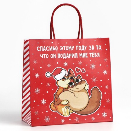 Gift package “Thank you this year”, 22 x 22 x 11 cm, new year-1