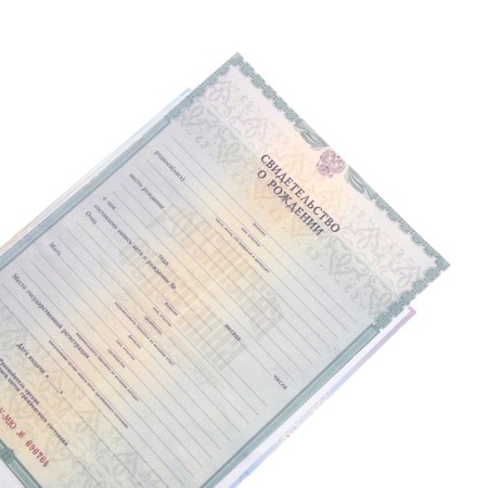 Folder for the birth certificate "Girl and Fox", A5-2