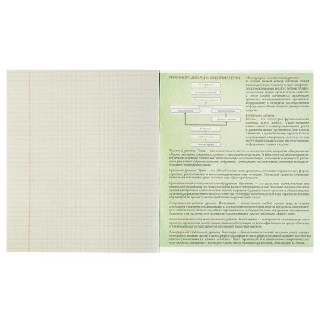 Subject Calligrata "Black-White", 48 sheets in a biology cage, with reference material, cover covered paper, block No. 2, whitewash 75% (gray sheets)-2