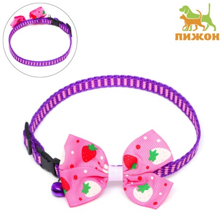 Collar "strawberries", 30 x 1 cm, nylon, pink
