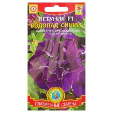 Mahr Petunia seeds. 