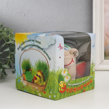 Growing grass Eco -Lyn "lucky" Gift packaging mix-6